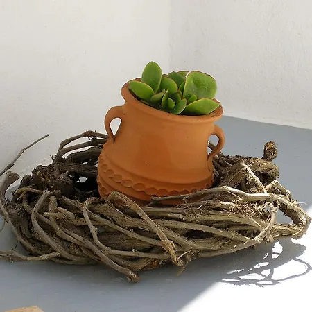 Pensionat Irida - Santorini